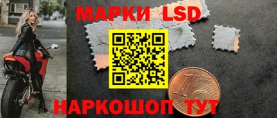 СК Вышний Волочёк