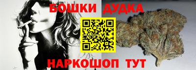 СК Вышний Волочёк
