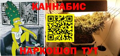 СК Вышний Волочёк