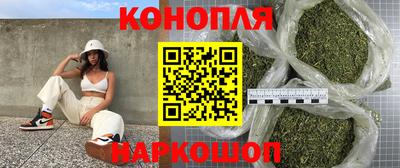 гидра Вязьма