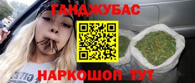 гидра Вязьма